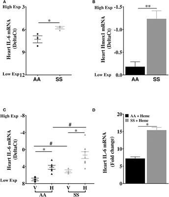 Heme Induces IL-6 and Cardiac Hypertrophy Genes Transcripts in Sickle Cell Mice